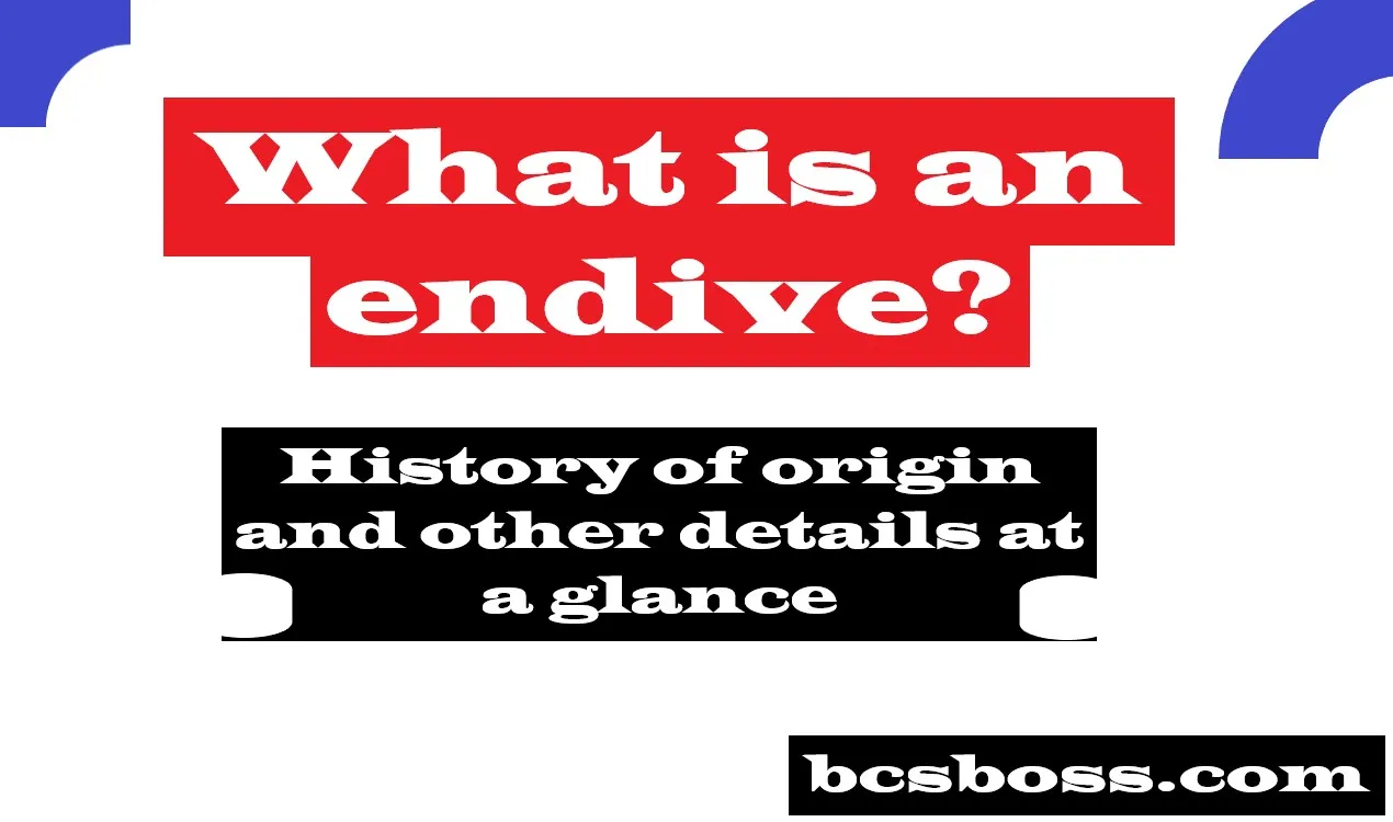 What is an endive? History of origin and other details at a glance